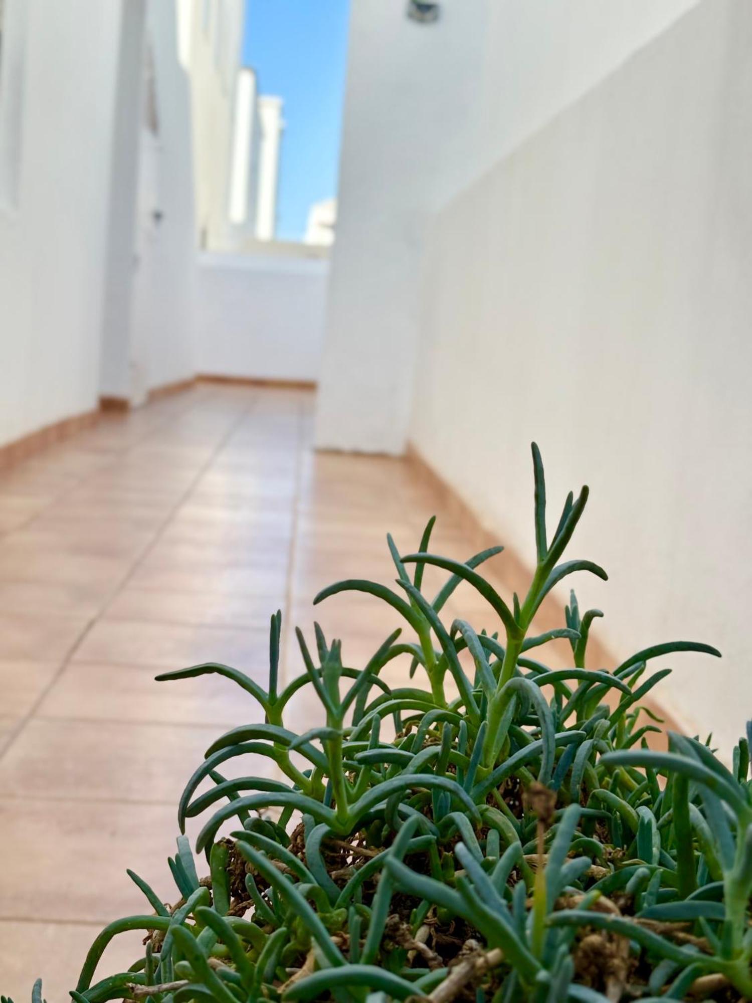 Apartment Playa Honda Red Playa Honda (Lanzarote)
