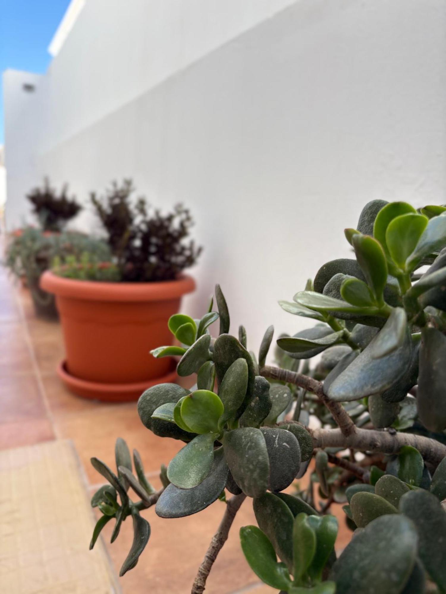 Playa Honda Red Appartement Playa Honda (Lanzarote)